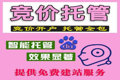 深入解析sem代运营推广公司的成功策略及效果